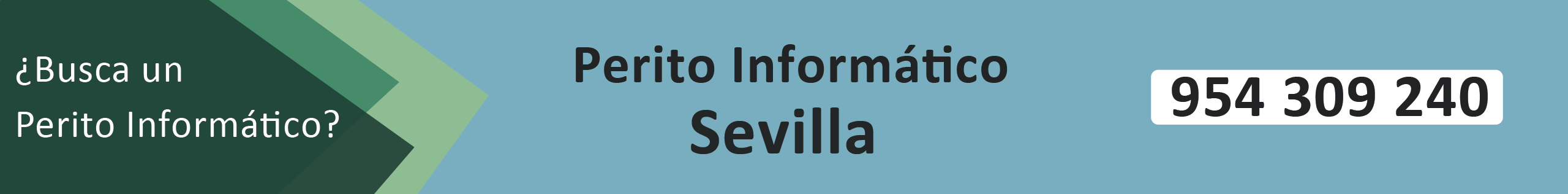 Peritos Informático en Sevilla