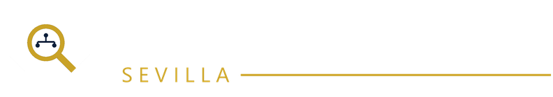 Perito Informático Sevilla